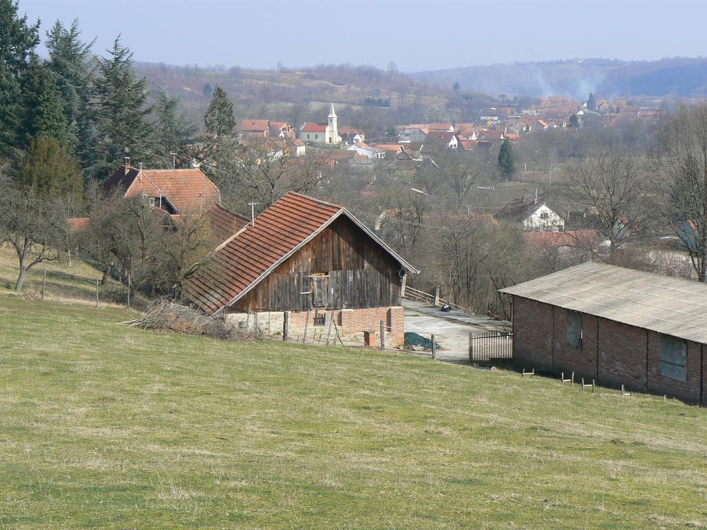 Гостьовий будинок Country House Stoljetna Vila Seona Екстер'єр фото